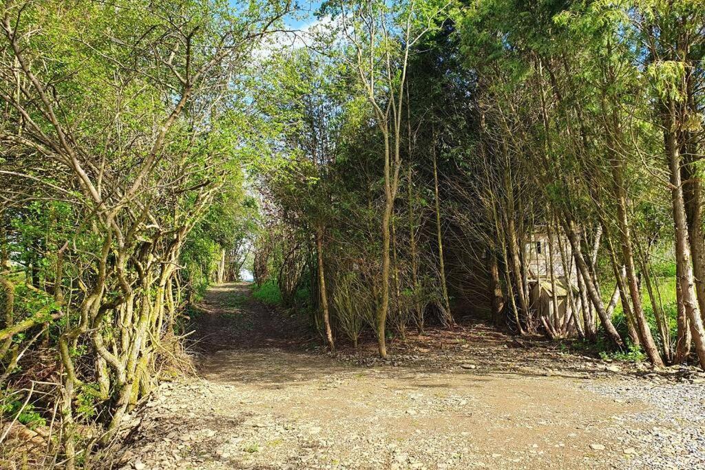 Le Chalet Des Oisai Wibrin ภายนอก รูปภาพ