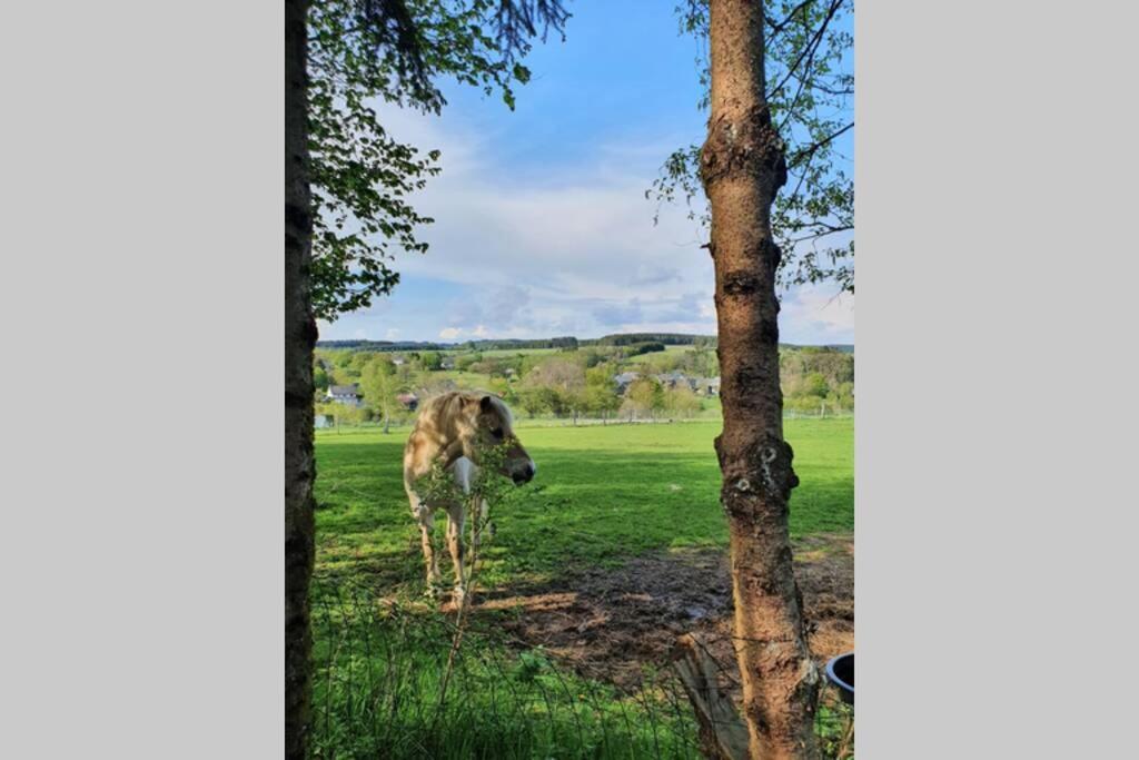 Le Chalet Des Oisai Wibrin ภายนอก รูปภาพ